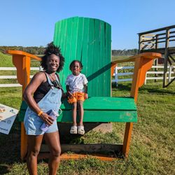 Temple Hall Farm Park - Big Chair