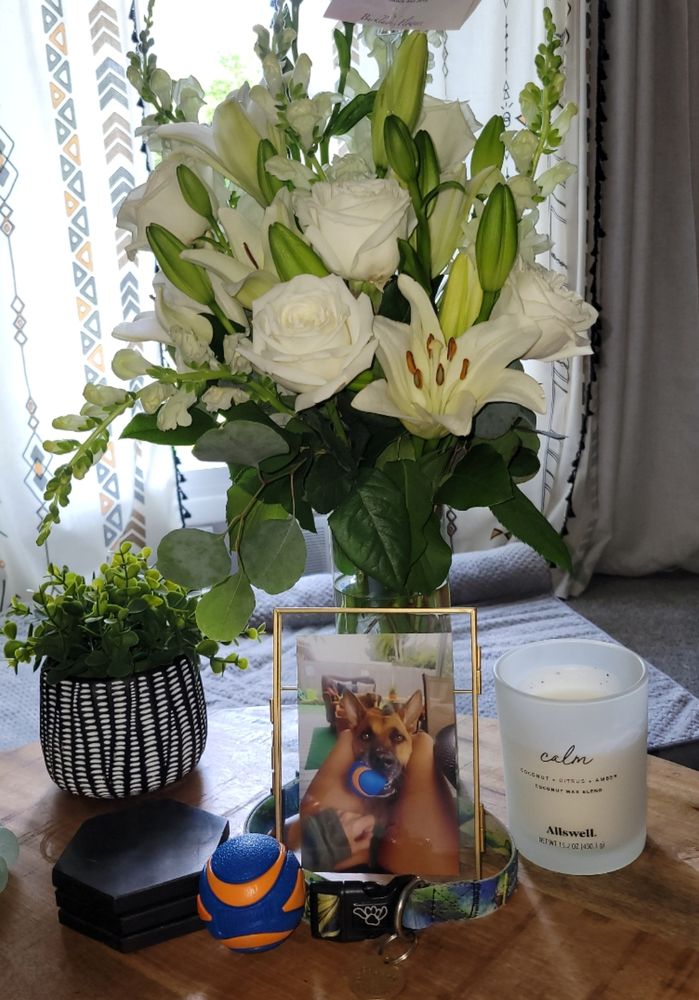 BURKLAND’S FLOWERS Updated September 2024 24 Photos & 10 Reviews