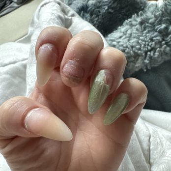 The Cat Nails & Spa - Nail Salons Near Me - Seattle, Washington