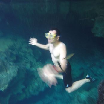 Cenote Tortuga - Local Flavor Near Me - Quintana Roo, ROO Cenote Tortuga - Local Flavor Near Me - Quintana Roo, ROO