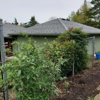Ultimat Handyman - Chain Link Fence Installation- Before - Handyman Near Me Ultimat Handyman - Chain Link Fence Installation- Before - Handyman Near Me