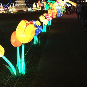 Lantern Light Festival - Festivals Near Me - Miami, Florida Lantern Light Festival - Festivals Near Me - Miami, Florida