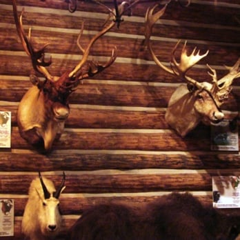 Buffalo Bill - Museums Near Me