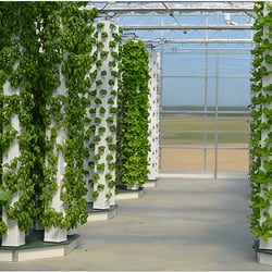 Beyond Organic Growers - Our greenhouse