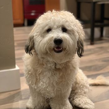 PetSmart - Before - Pet Stores Near Me - San Carlos, California