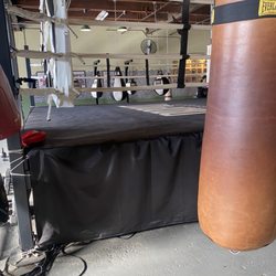 Dropout Fight Club - Ring