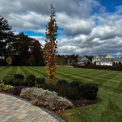 New England Tree & Landscape