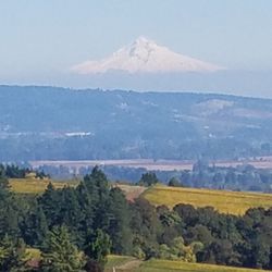Tours Oregon - Mt Hood. Day Trips.