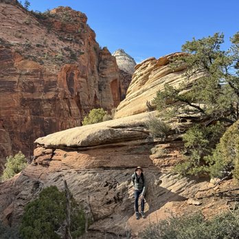 Canyon Overlook Trail - Hiking Near Me - Springdale, Utah