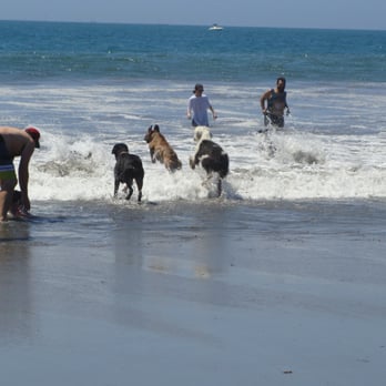 Coronado Dog Beach - Beaches Near Me - Coronado, California