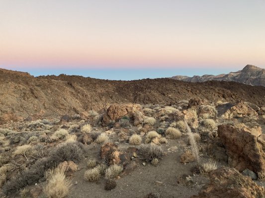 Teide National Park by null