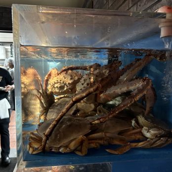 O Mandarin - Szechuan Near Me - Hicksville, New York
