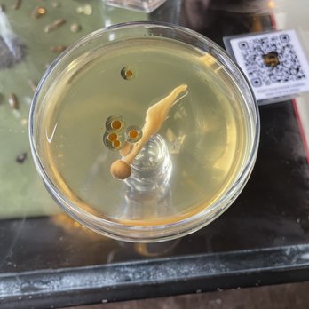 Honey Elixir Bar - Into the Woods - Lounges Near Me - Denver, Colorado
