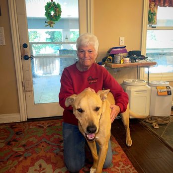 The DogMaster - The Dogmaster at work! - Pet Training Near Me - Walnut, California
