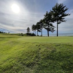 Bay Harbor Golf Club