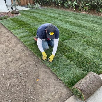 Raul Huerta Lanscaping - New Grass Seed - Lawn Services Near Me Raul Huerta Lanscaping - New Grass Seed - Lawn Services Near Me