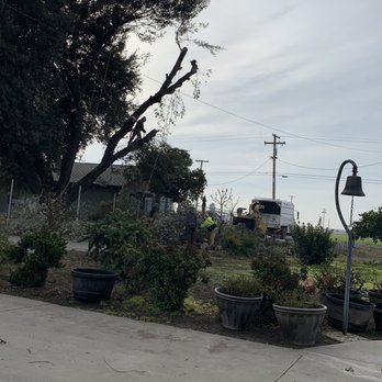 River Oaks Tree Service - Tree Services Near Me - Riverbank, California