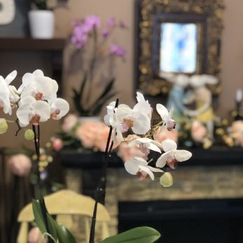 Soul Sweet Boutique - Beautiful but small inside. - Bakeries Near Me - Newark, New Jersey Soul Sweet Boutique - Beautiful but small inside. - Bakeries Near Me - Newark, New Jersey