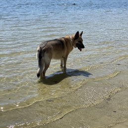 Beach Beach