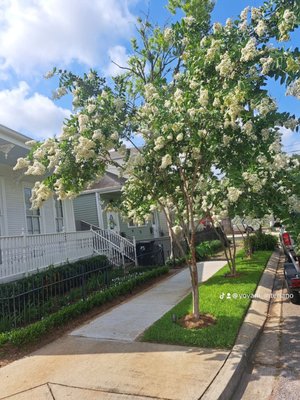 GFaith Lawn And Landscape