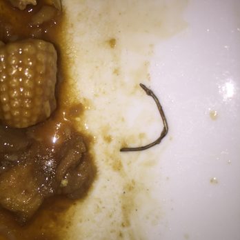 Peking Chinese Restaurant - Curved metal nail found in food (carry out order). - Chinese Near Me - Suwanee, Georgia