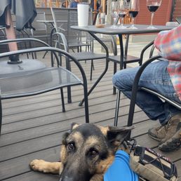 Pet friendly. I think you can sit inside too. They didn't specify pets have to be on patio. I just chose to but not sure. You can ask Pet friendly. I think you can sit inside too. They didn't specify pets have to be on patio. I just chose to but not sure. You can ask