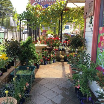 McLaren Vale Garden Centre - Plants and more - Nurseries & Gardening Near Me - McLaren Vale, SA McLaren Vale Garden Centre - Plants and more - Nurseries & Gardening Near Me - McLaren Vale, SA