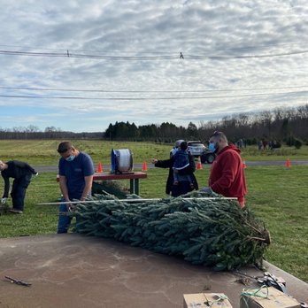 Barclay's Tree Farm - Wrapping my tree - Nurseries & Gardening Near Me - Cranbury, New Jersey