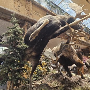 Bass Pro Shops - Outdoor Gear Near Me - Las Vegas, Nevada