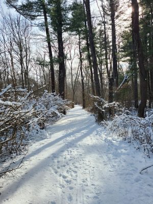 Wompatuck State Park by null