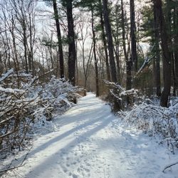 Wompatuck State Park