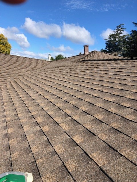 Slide of Roof & Gutter Busters