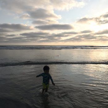 Torrey Pines State Beach - My boy - Beaches Near Me - San Diego, California
