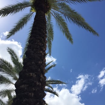 LA Fitness - Gyms Near Me - Windermere, Florida