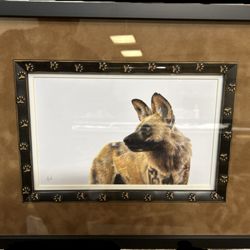 Art & Frame Naperville