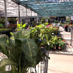 Lowe's Home Improvement - Beauty