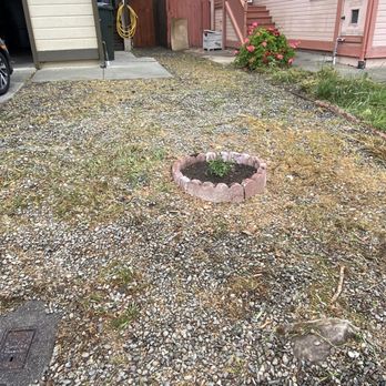 Maximum Lawn & Tree Services - After - Tree Services Near Me - Sacramento, California