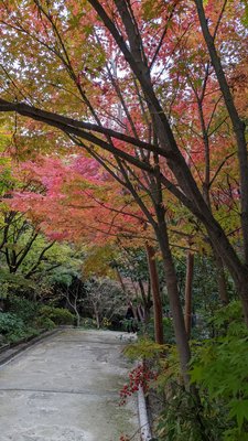 Shirotori Garden by null