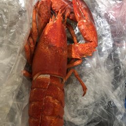 Whole Lobster with Clams