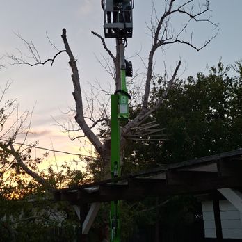 G Bro Kuts - Cutting the tree until the job was done. - Lawn Services Near Me G Bro Kuts - Cutting the tree until the job was done. - Lawn Services Near Me