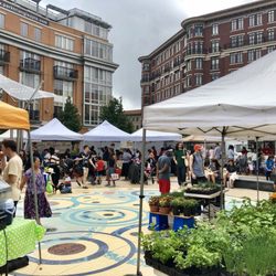 Columbia Heights Farmers Market - Saturday shopping at Columbia Heights Farmer's Market