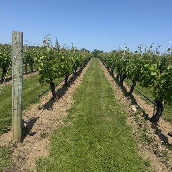 Wolffer Estate Vineyard - Wineries Near Me - Sagaponack, New York