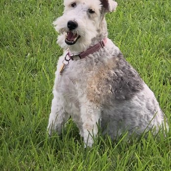 Boca Veterinary Clinic - Veterinarians Near Me - Boca Raton, Florida Boca Veterinary Clinic - Veterinarians Near Me - Boca Raton, Florida