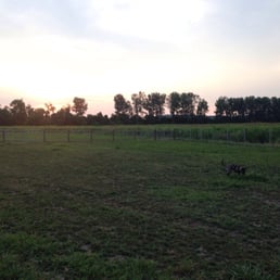 Tuck loves it here!