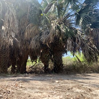 Hugh Ramsey Nature Park - Parks Near Me - Harlingen, Texas
