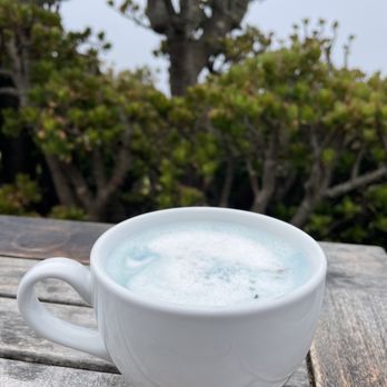 Esalen Institute - Adult Education Near Me - Big Sur, California Esalen Institute - Adult Education Near Me - Big Sur, California