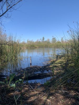Shipley Nature Center by null