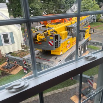 Walnut Tree Service - Tree Services Near Me - Stoughton, Massachusetts