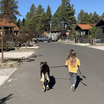 Village Camp Flagstaff - Tiny cabins & dog friendly - RV Parks Near Me - Bellemont, Arizona Village Camp Flagstaff - Tiny cabins & dog friendly - RV Parks Near Me - Bellemont, Arizona