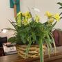 Photo of First Class Flowers